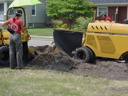 ./Gallery/2011 Bennet Lot Tree Removal/DSC06477.JPG